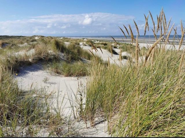 Seeblick Lachmoewe, Exklusive Lage In Strandnaehe Wangerooge Exterior photo
